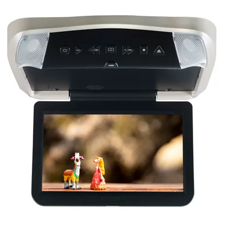 10.1 Inch Hi-Res Digital Smart TV Ready System with DVD, HDMI, and USB INPUTS